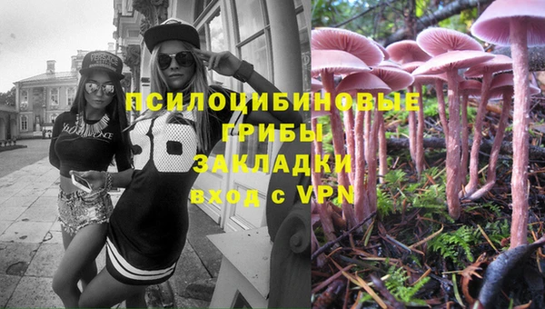 спайс Алзамай