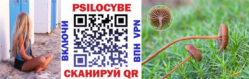 Галлюциногенные грибы Magic Shrooms  что такое наркотик  Алушта 