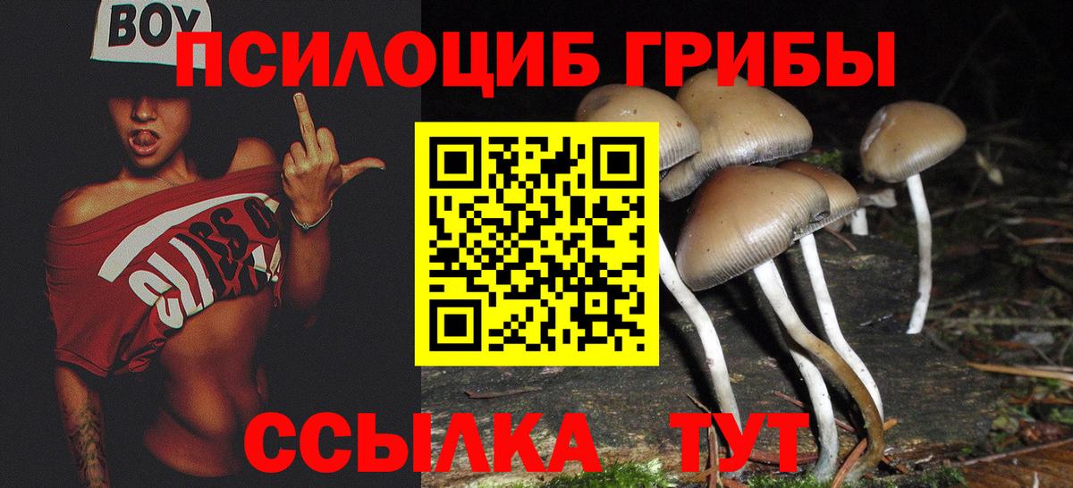 Псилоцибиновые грибы Psilocybine cubensis Алушта