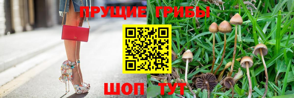 Алушта  Галлюциногенные грибы мухоморы  Вход с VPN 